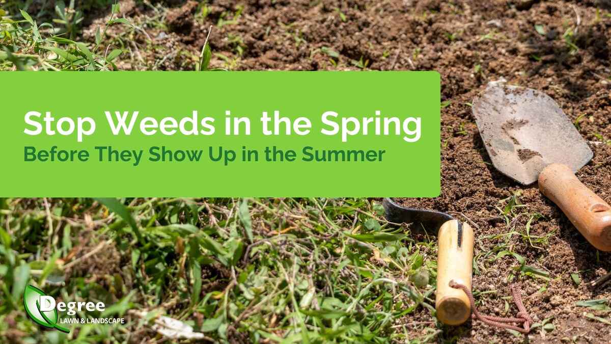 Stop Weeds in the Spring Before They Show Up in the Summer